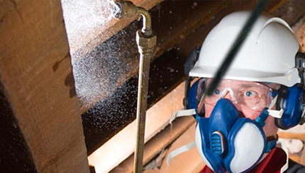 exterminating the infestation in the room